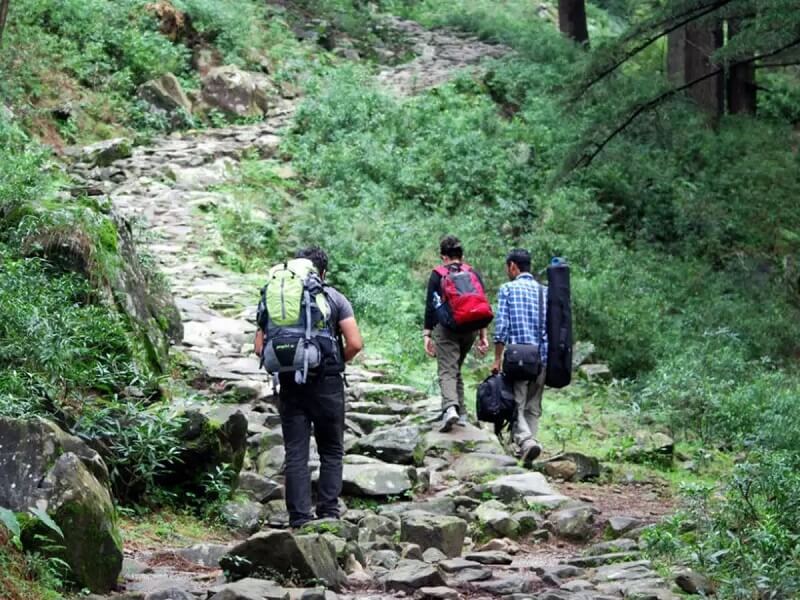 Triund Trekking
