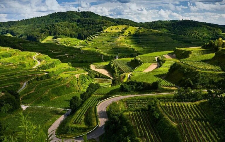 15 Best Destinations for Family Vacation in India 2026