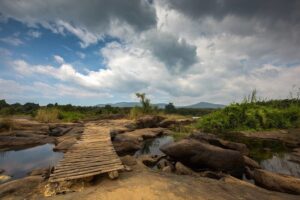 10 Best Places to Visit in Ernakulam