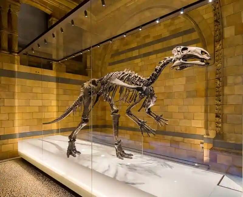 JPP Collection Museum, Ahmedabad