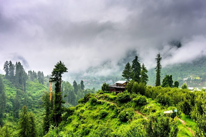 Kasauli Honeymoon