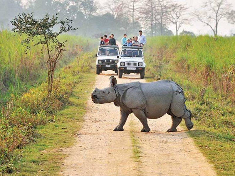 Kaziranga National Park