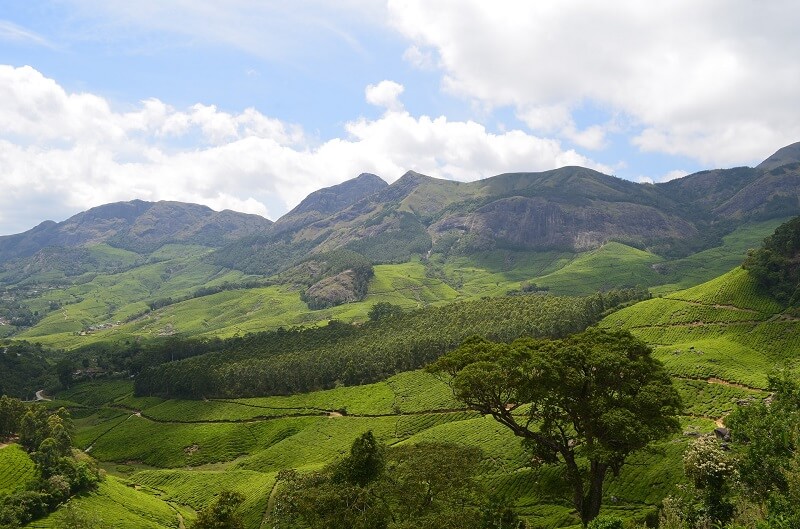 Munnar Visit in Summer