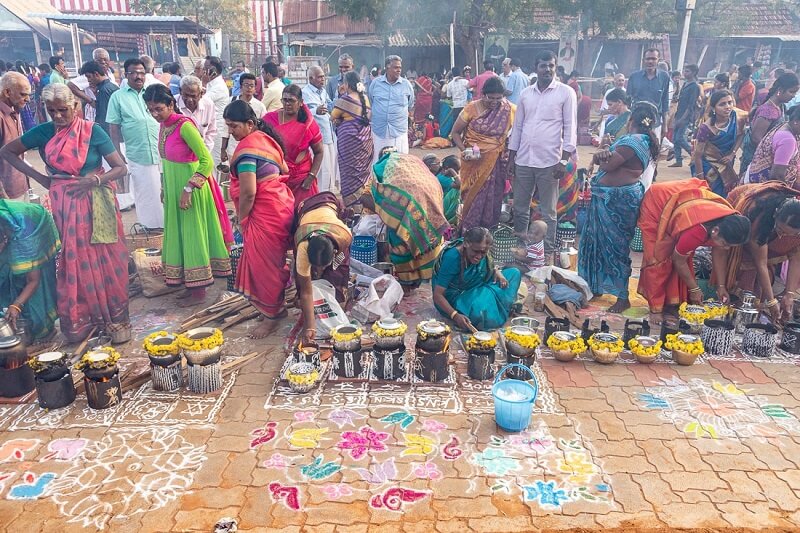 Pongal Festival in India