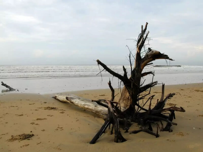 Shankarpur Beach, West Bengal