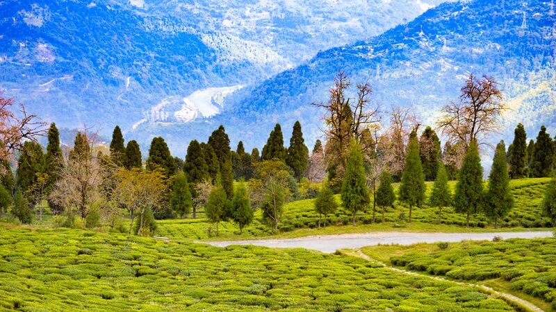 Wayanad Visit in Summer