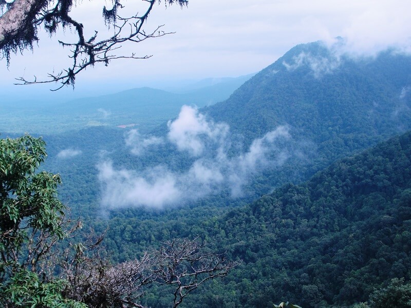 Agumbe View Point - Karnataka