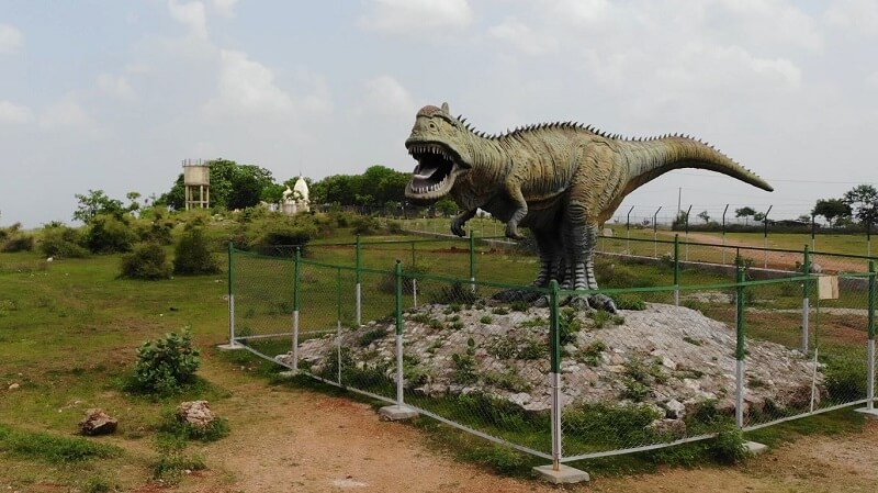 balasinor fossil park