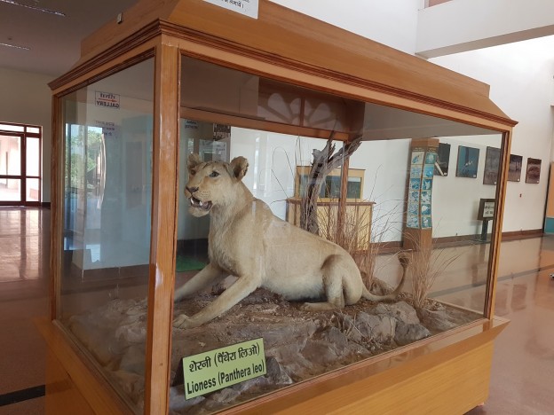 Visit Rajiv Gandhi National Museum, Ranthambore