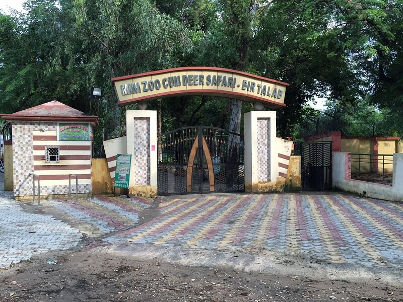 Bir Talab Forest, Bathinda, Punjab