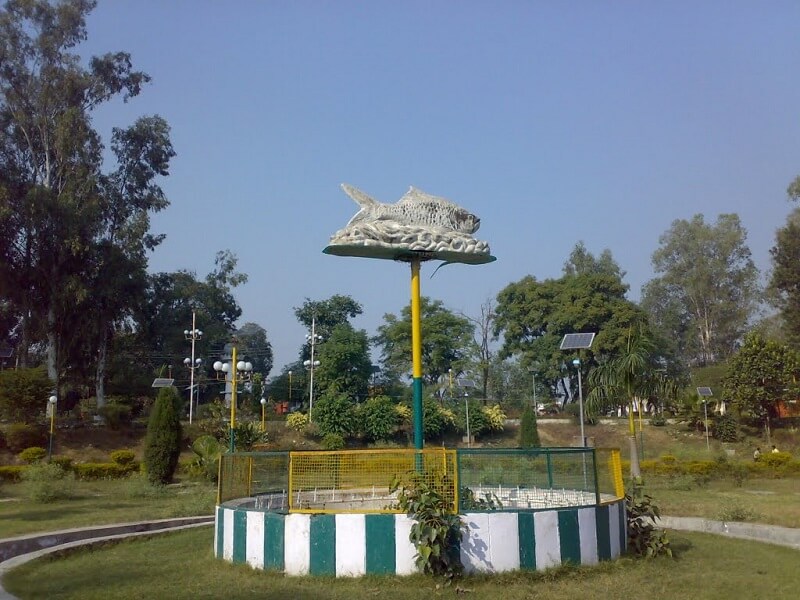 Fish Park, Gurdaspur, Punjab
