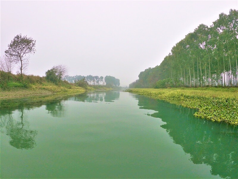 Kanjli Wetland, Kapurthala, Punjab