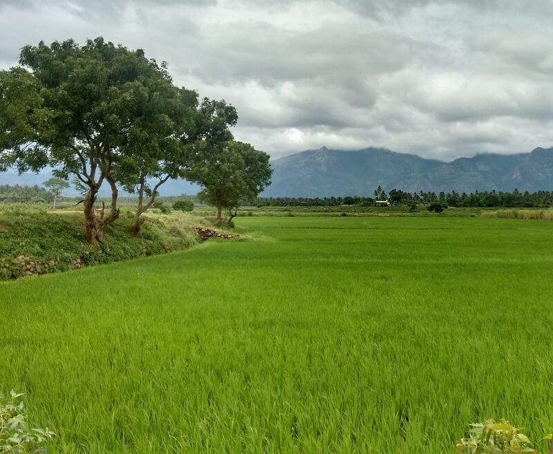 Pollachi, Coimbatore