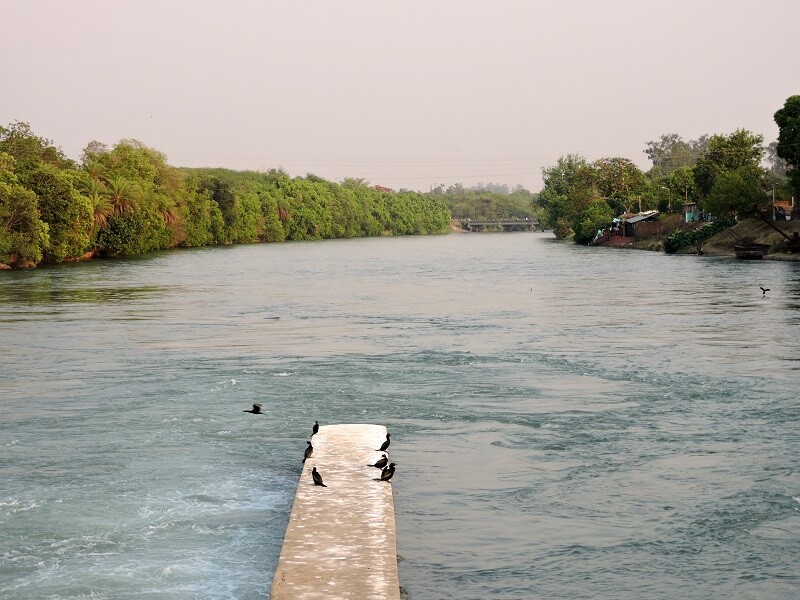 Ropar Wetland, Punjab