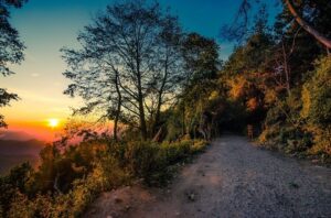 Top 15 Places to Visit South India in July 2026