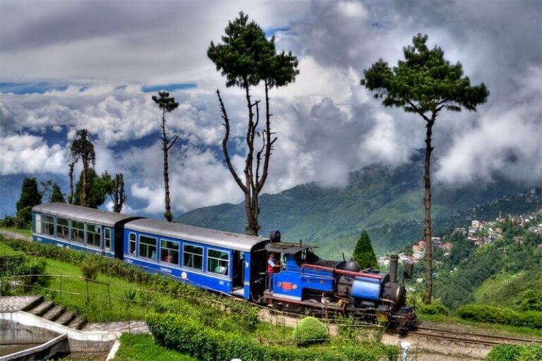 15 Best Destinations for Family Vacation in India 2026