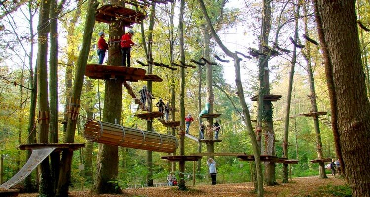 Fun Forest Adventure Park, Munnar, Kerala