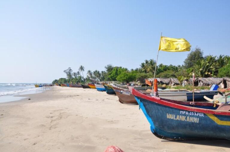 Goa Covid Update