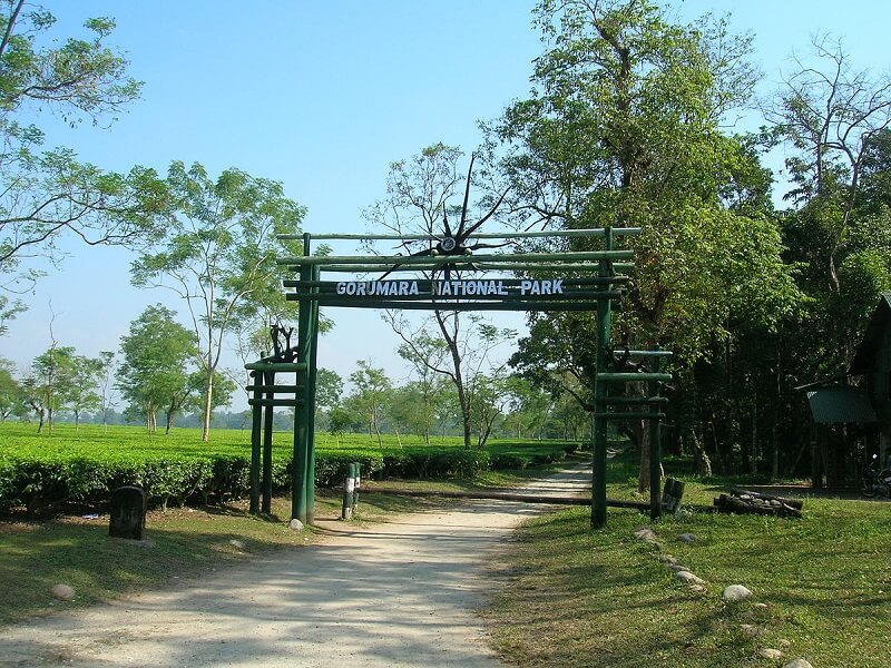 Gorumara National Park, Chalsa, West Bengal