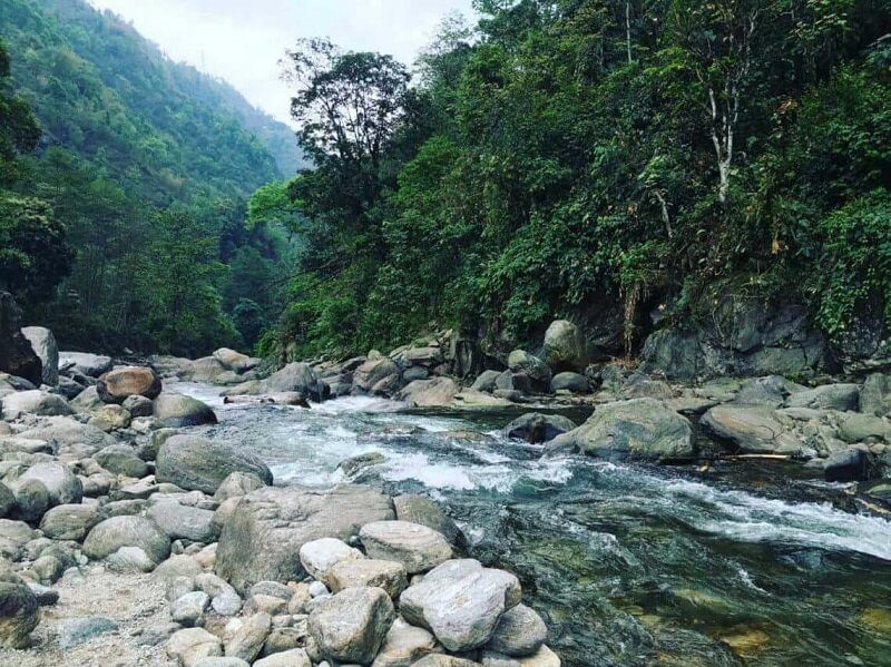 Kaluk, Pelling, Sikkim