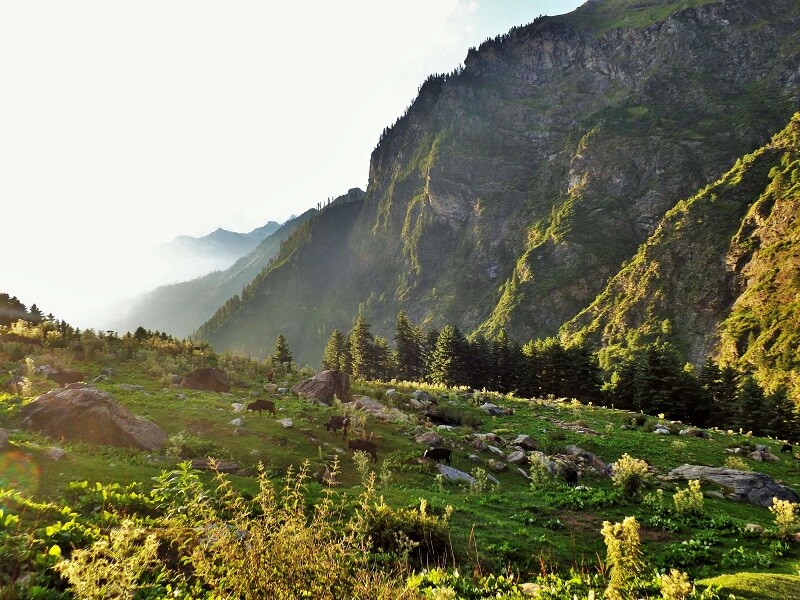 Kheer Ganga Peak, Kasol, Himachal Pradesh