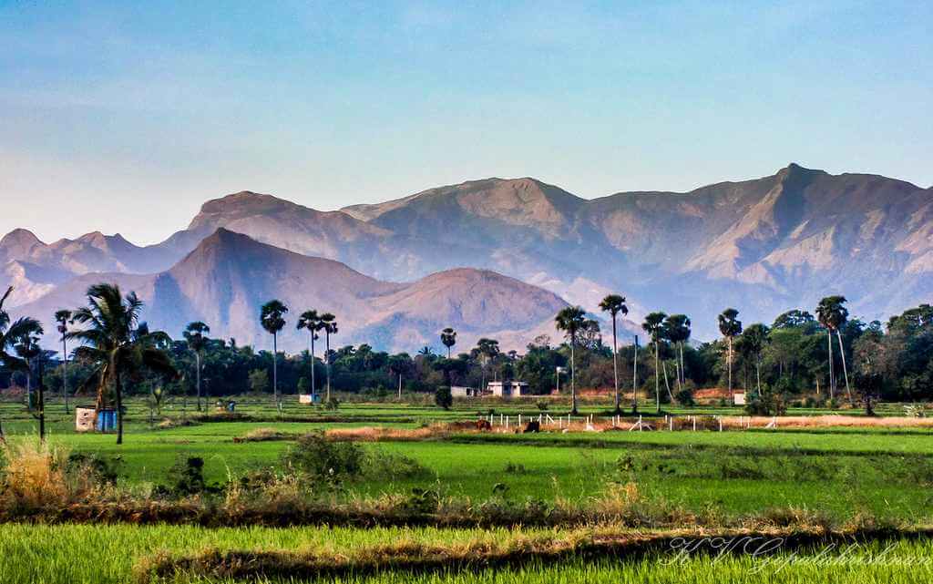 Palakkad, Kerala