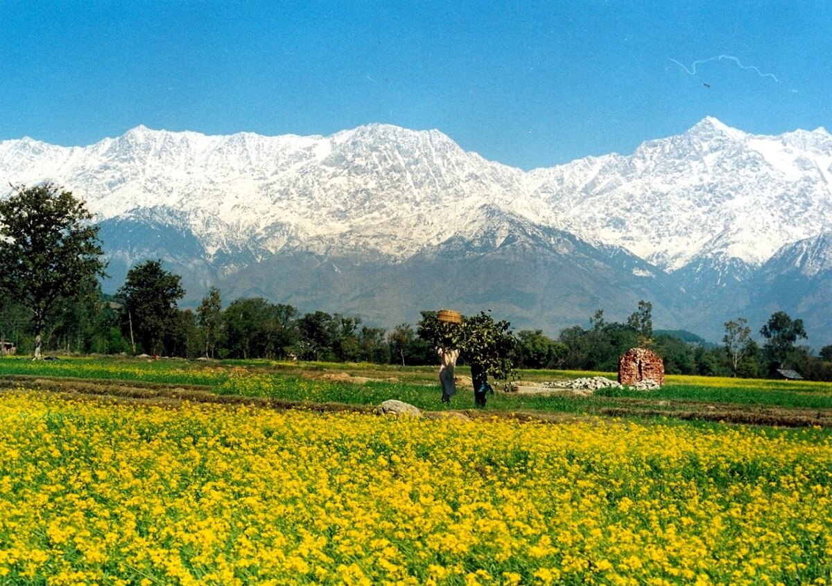 Palampur, Himachal