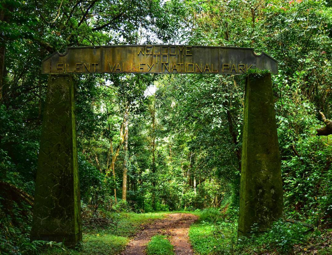 Silent Valley National Park, Kerala