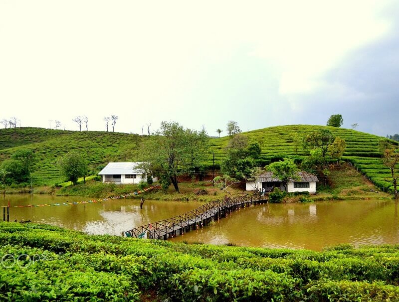 Vagamon Honeymoon