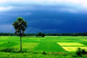 West Bengal in Monsoon Places Near Kolkata