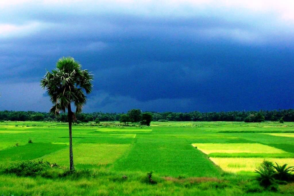 West Bengal in Monsoon Places Near Kolkata