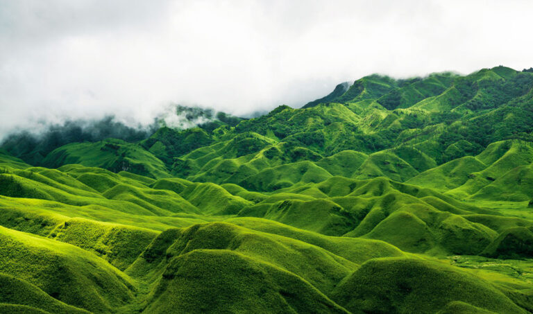 dzoukou_valley_Places to visit india in July