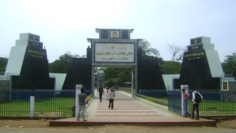 Arignar Anna Zoological Park, Chennai