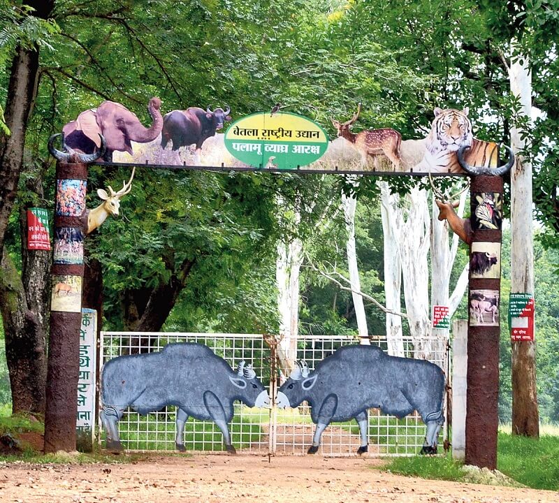 Betla National Park and Palamu Tiger Reserve, Jharkhand