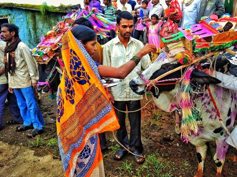Pola Festival in India