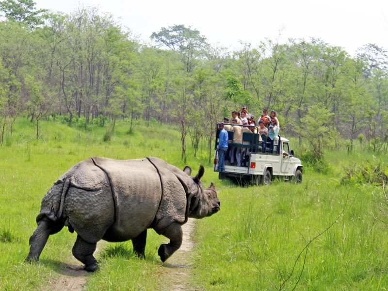 Chitwan National Park, Nepal