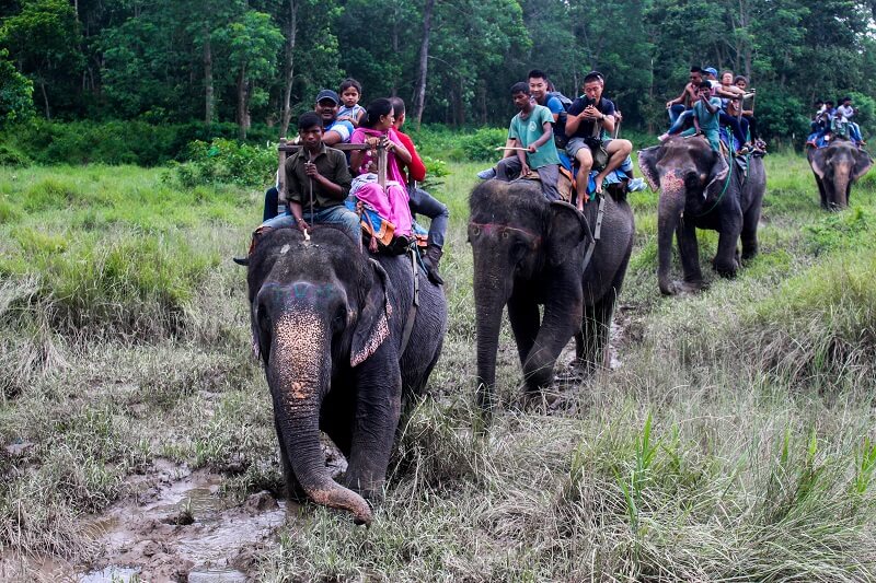 Elephant Safari in Chitwan_National_Park, Nepal