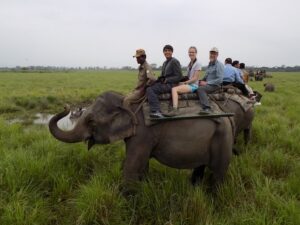 Elephant Safari in Kaziranga, Assam