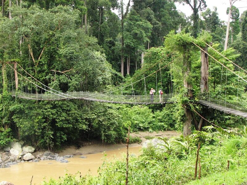 Danum Valley, Malaysia