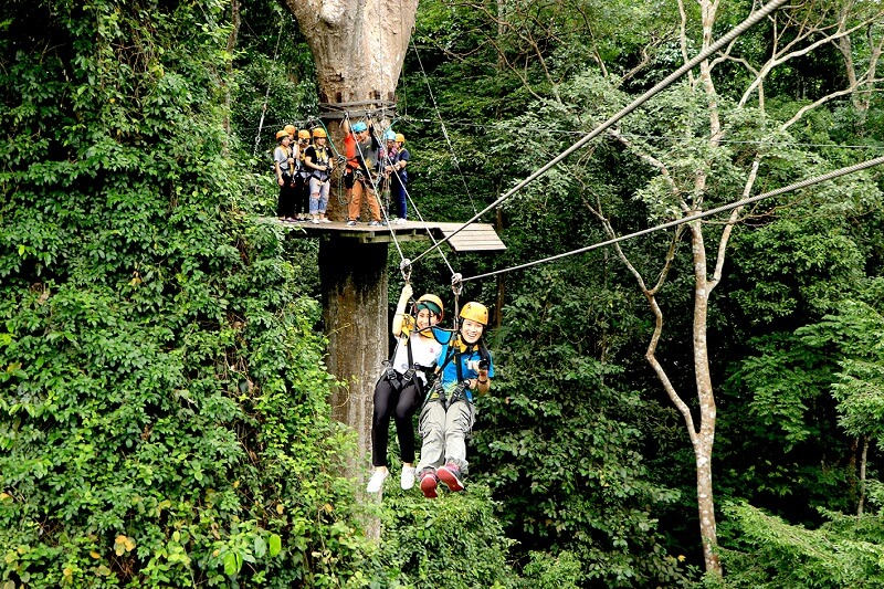 Enjoy Flight of the Gibbon, Pattaya, Thailand