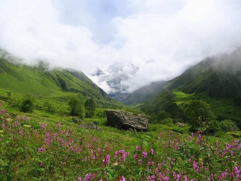 Valley of Flowers, Uttarakhand