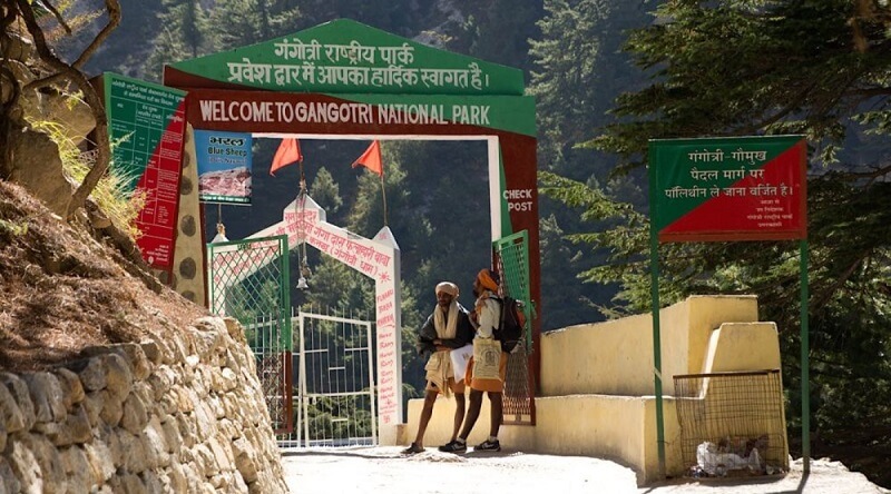 Gangotri National Park, Uttarakhand