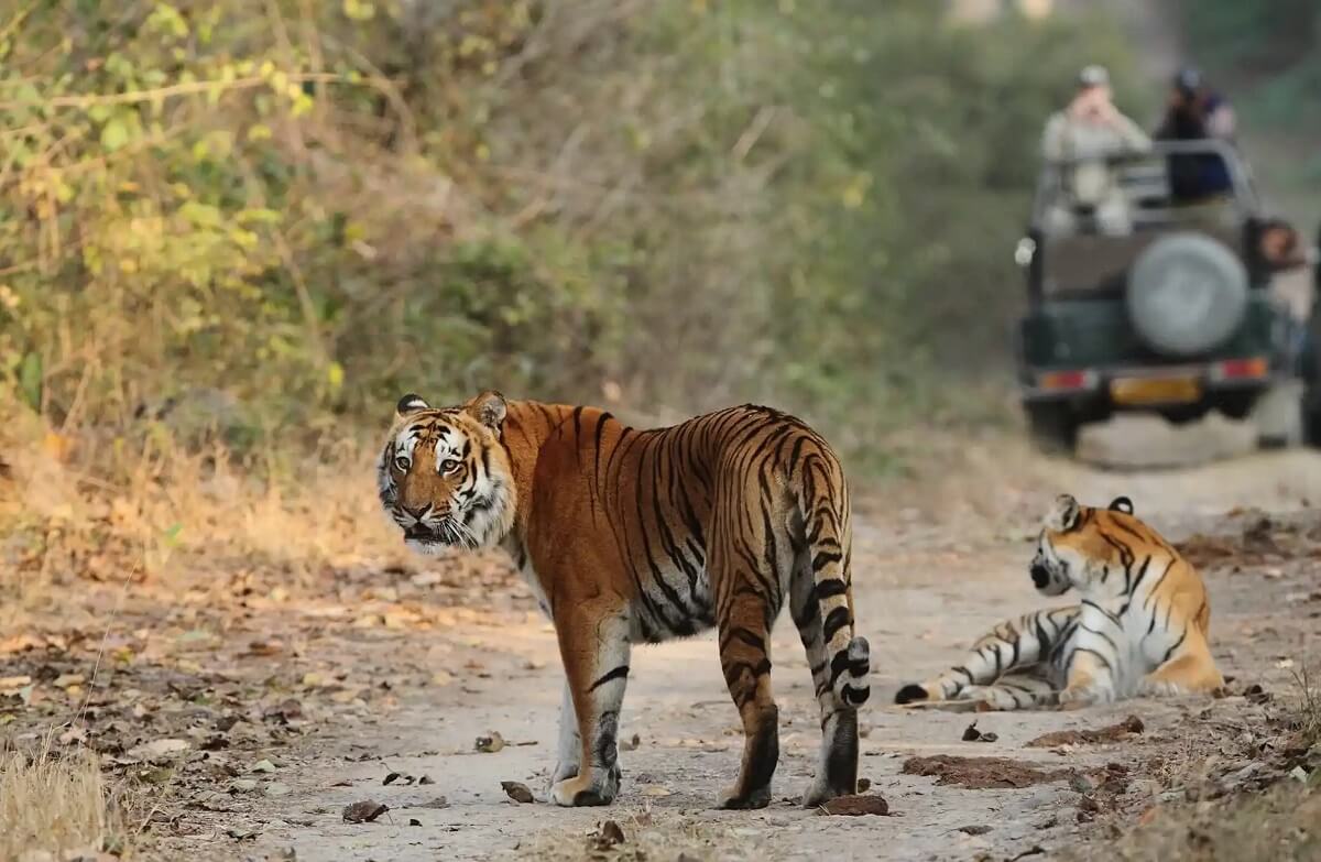 Jim Corbett National Park, Uttarakhand