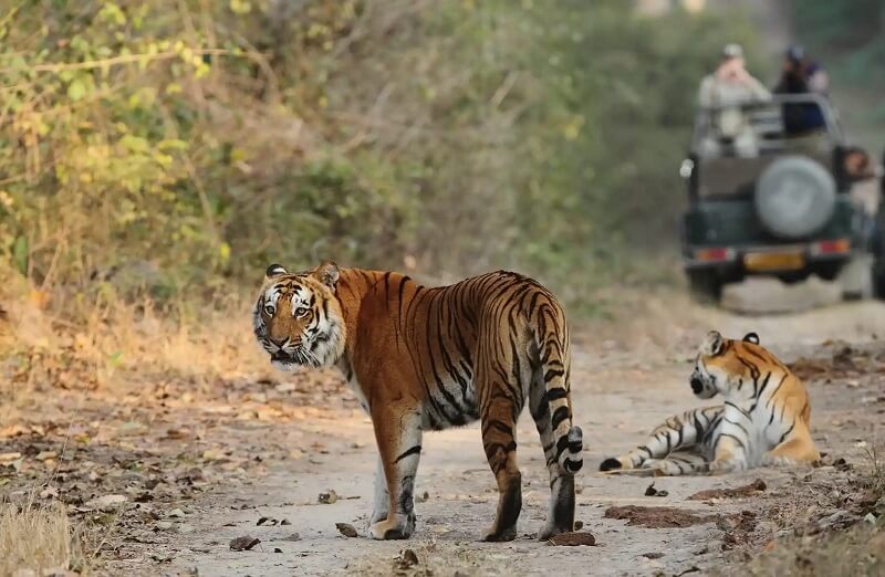Jim Corbett National Park, Uttarakhand