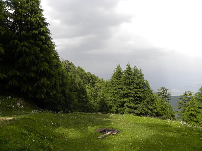 Kalatop Wildlife Sanctuary, Himachal