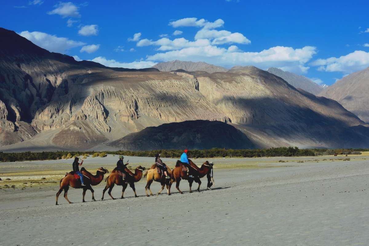 Ladakh Desert