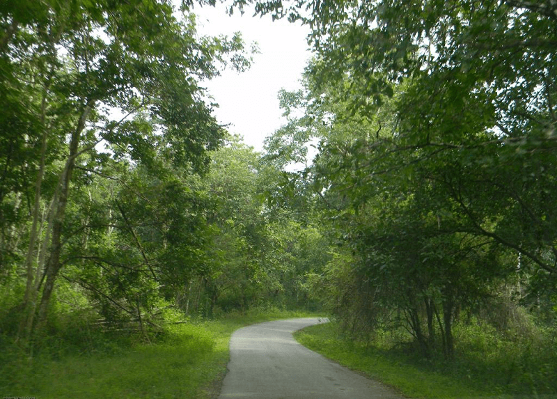 Mumbai To Dandeli Road by Car