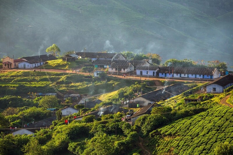 Munnar, Kerala