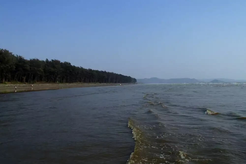 Nagaon Beach Maharashtra