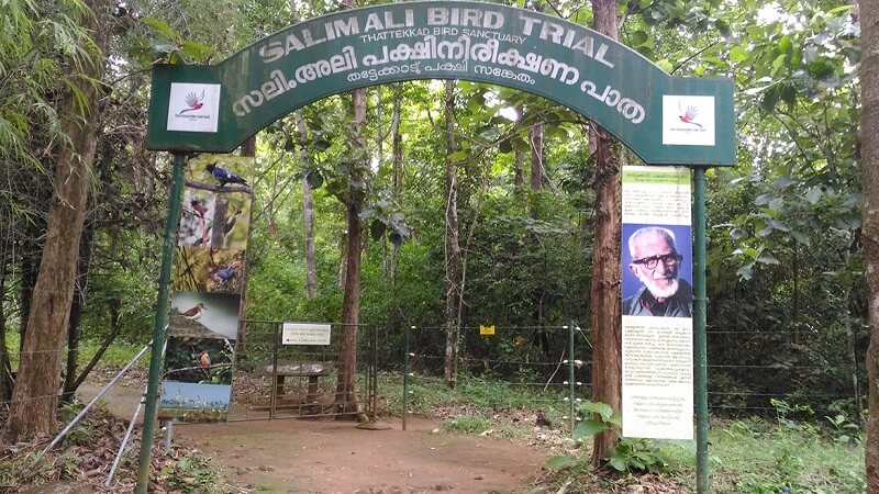 Salim Ali Bird Sanctuary, Thattekad, Kerala